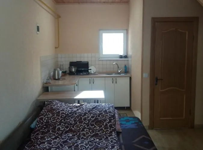 酒店 у васі *