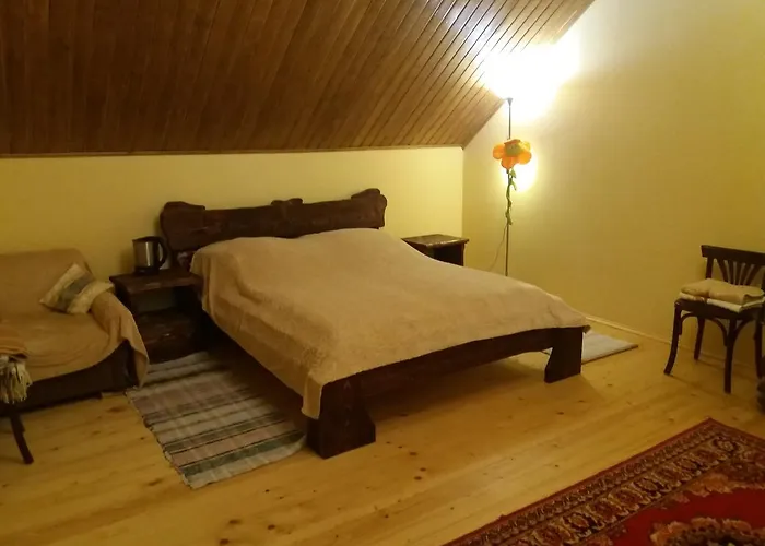 Hotel у васі *