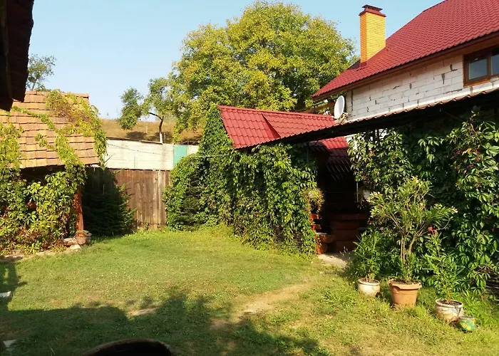 Hotel у васі *